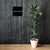 Matte Poster - Gold Link